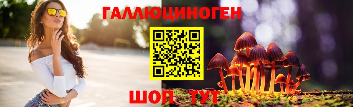 Псилоцибиновые грибы Psilocybine cubensis  Вход с VPN  Карасук 